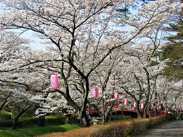 🏞️ 미도리가오카 공원 (미도리가오카 코엔) 이미지 10